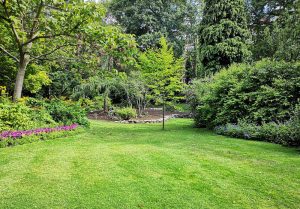 Optimiser l'expérience du jardin à Arc-et-Senans