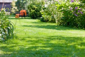 travaux jardin et paysage Arc-et-Senans